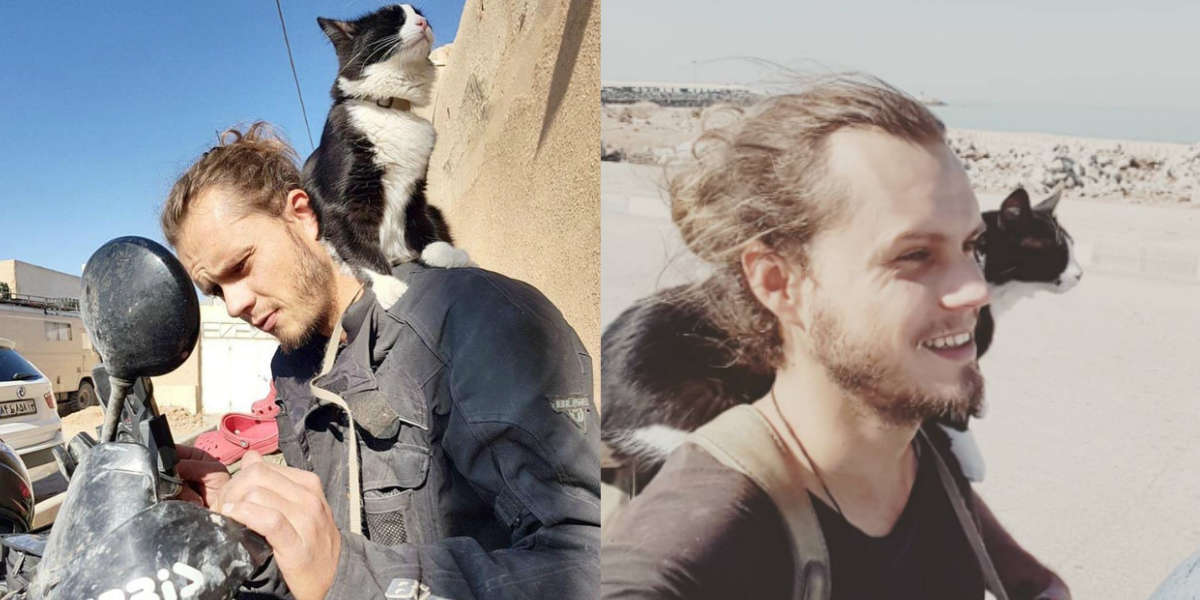 Un homme trouve un chat des rues et l’emmène dans le plus incroyable des voyages