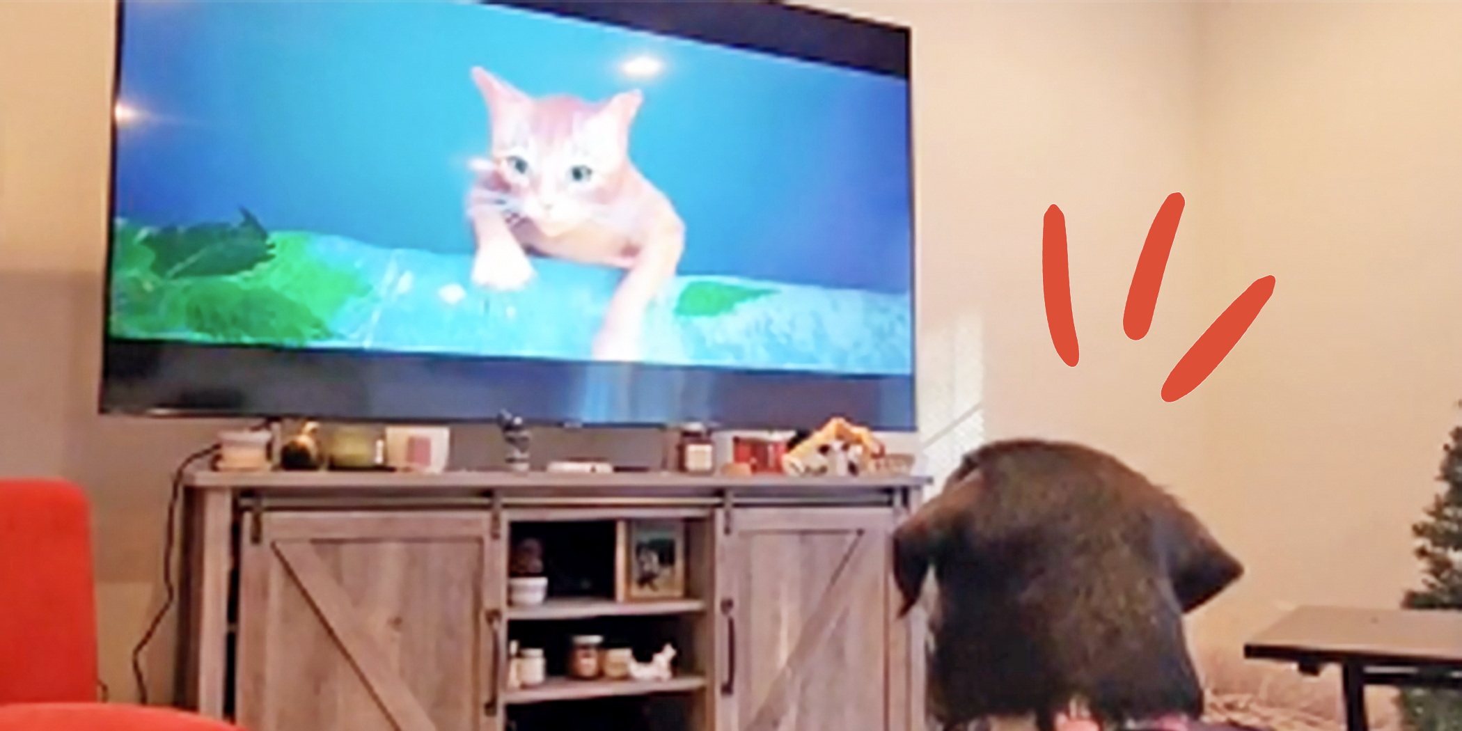 Regardez ce labrador adorable et inquiet essayer de sauver le chat qui tombe dans un jeu vidéo