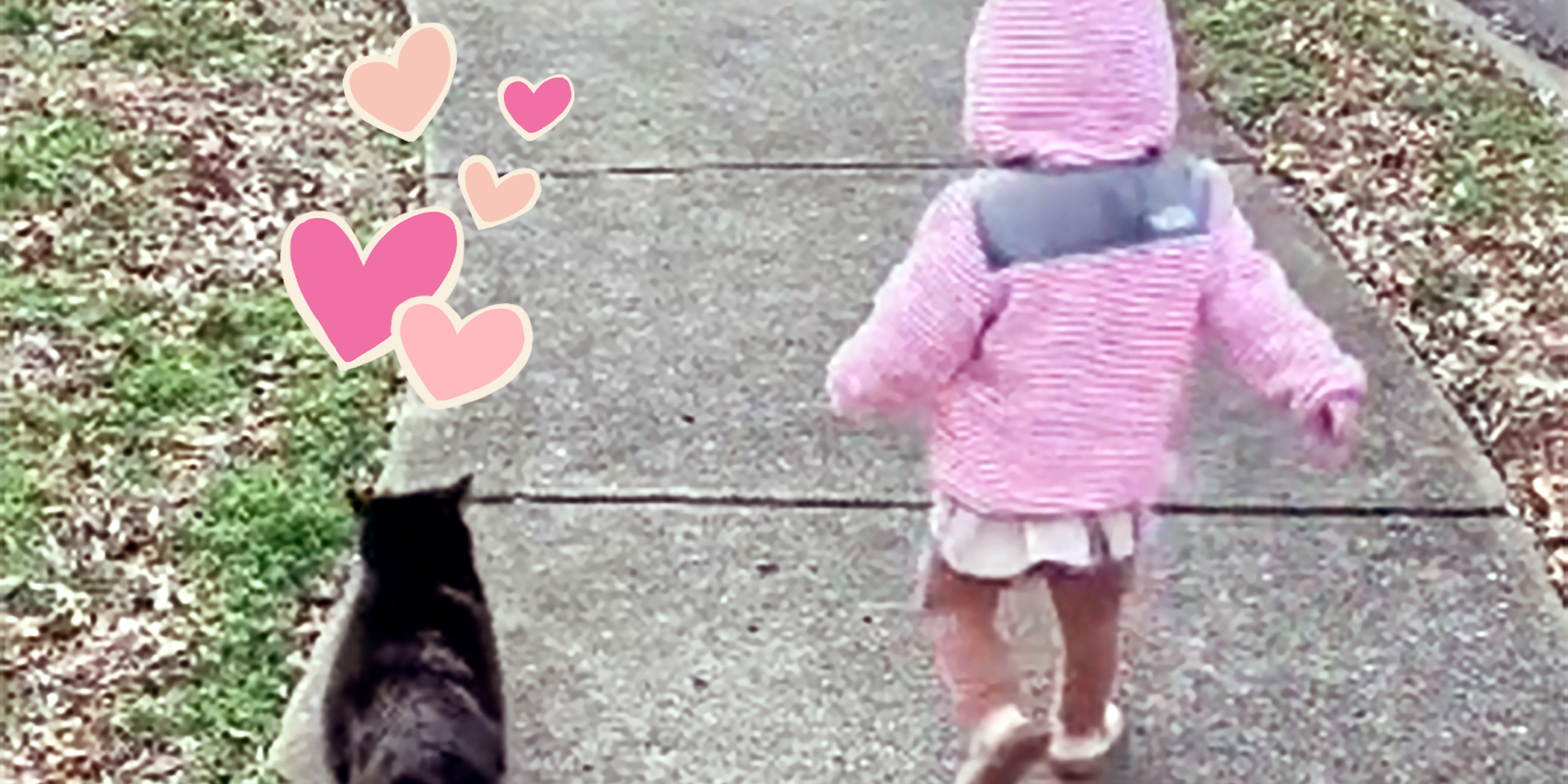 Regardez la douce amitié de cette jeune fille avec le chat noir de son quartier et essayez de ne pas pleurer
