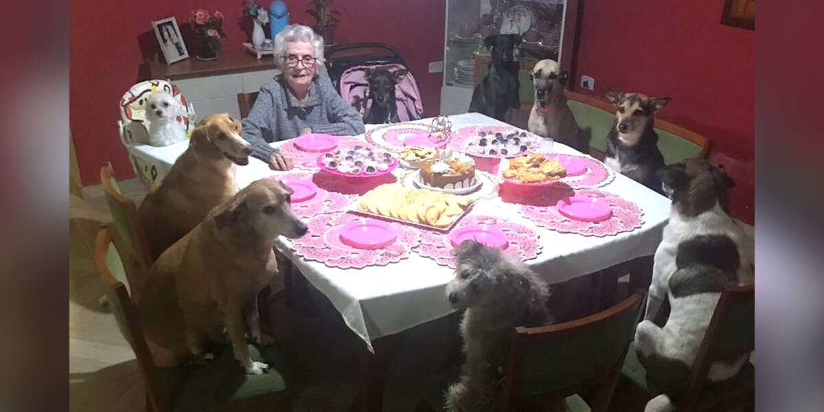 Des chiens organisent la plus adorable des fêtes pour les 89 ans d’une grand-mère