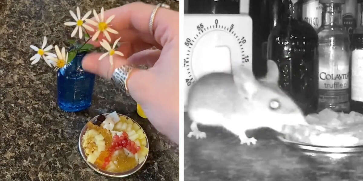 Une femme fabrique un minuscule plateau à fromage pour la souris qui n’arrêtait pas de piller sa cuisine