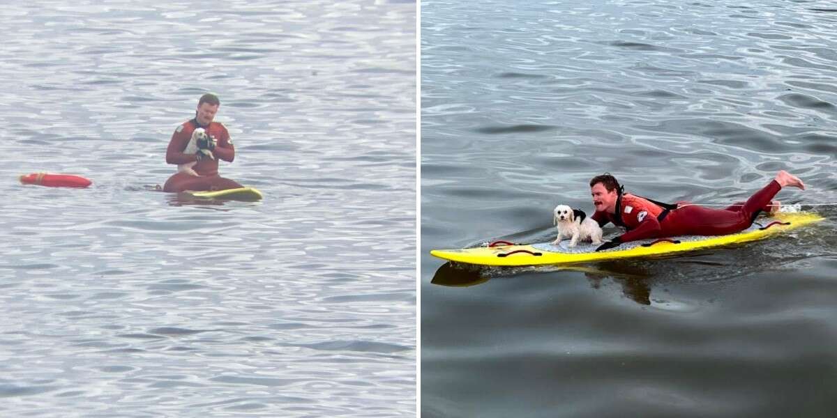 Les sauveteurs repèrent une personne minuscule au large qui lutte contre les vagues.