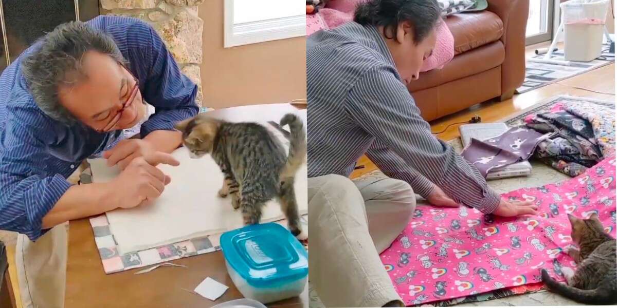 Un père passe chaque jour de sa retraite à fabriquer des lits et des jouets pour des chats en détresse
