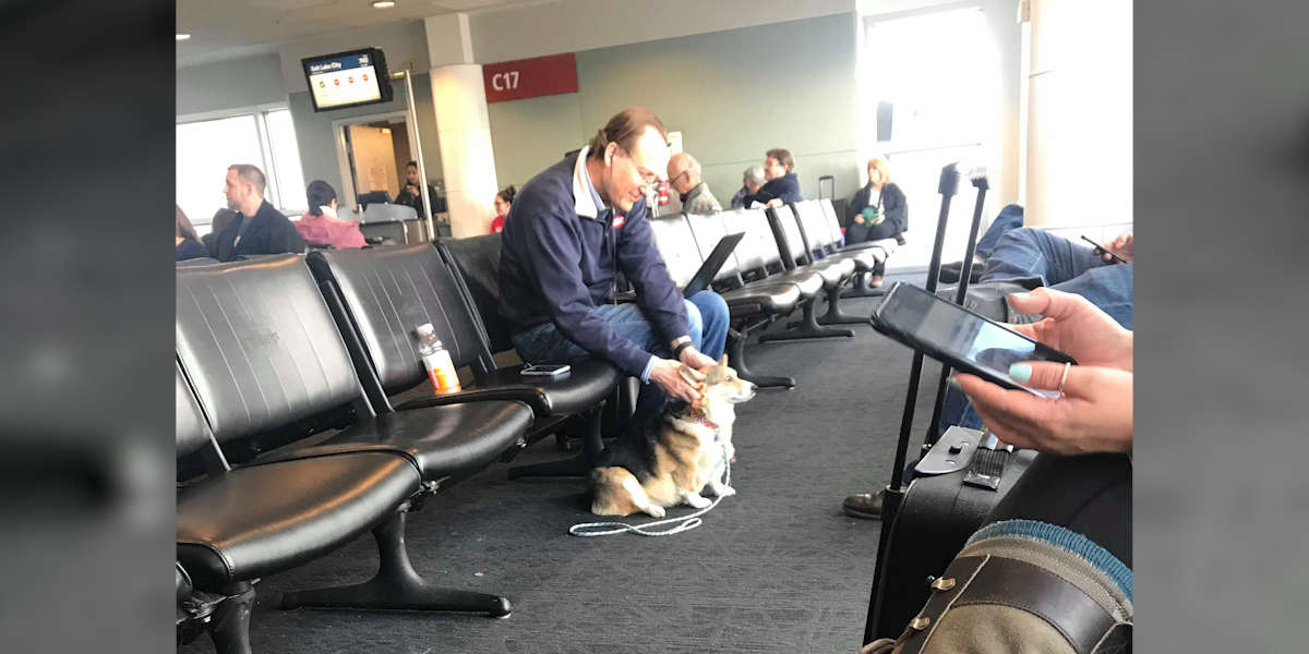 Un Corgi adorable voit un homme dans un aéroport et sait immédiatement qu’il a besoin de réconfort.