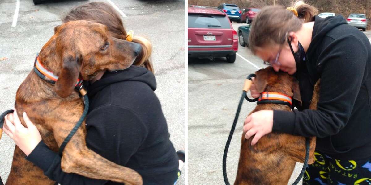 Un chien de refuge aperçoit une fille en pleine crise d’angoisse et se précipite pour l’aider.