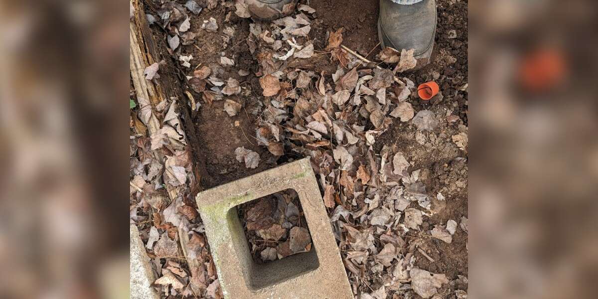 Une femme travaillant dans son jardin découvre un intrus caché à la vue de tous